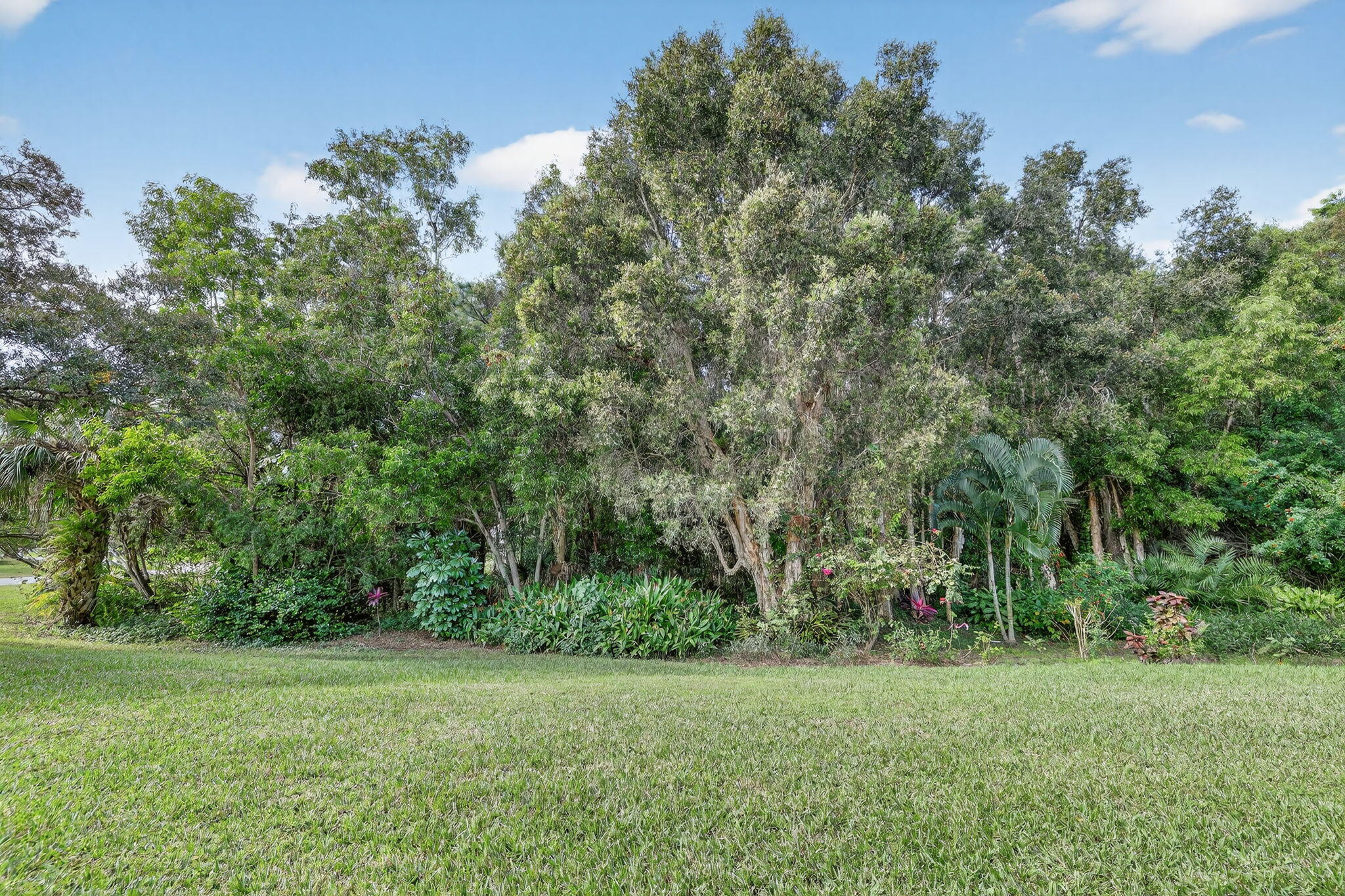 3401 Southeast Martinique Trace, Unit 102 Stuart, FL 34997 - Photo 43 of 56 a view of a grassy field with trees in the background