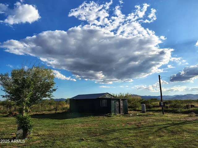 a view of a garden with an ocean