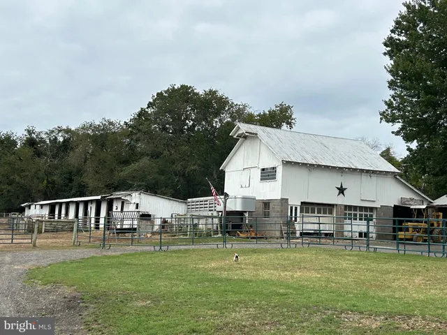 a view of a park with large trees