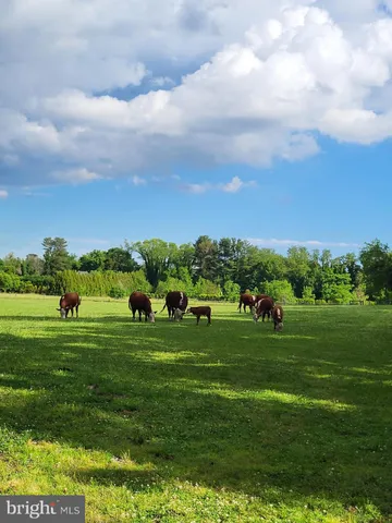 a view of a lake with outdoor space