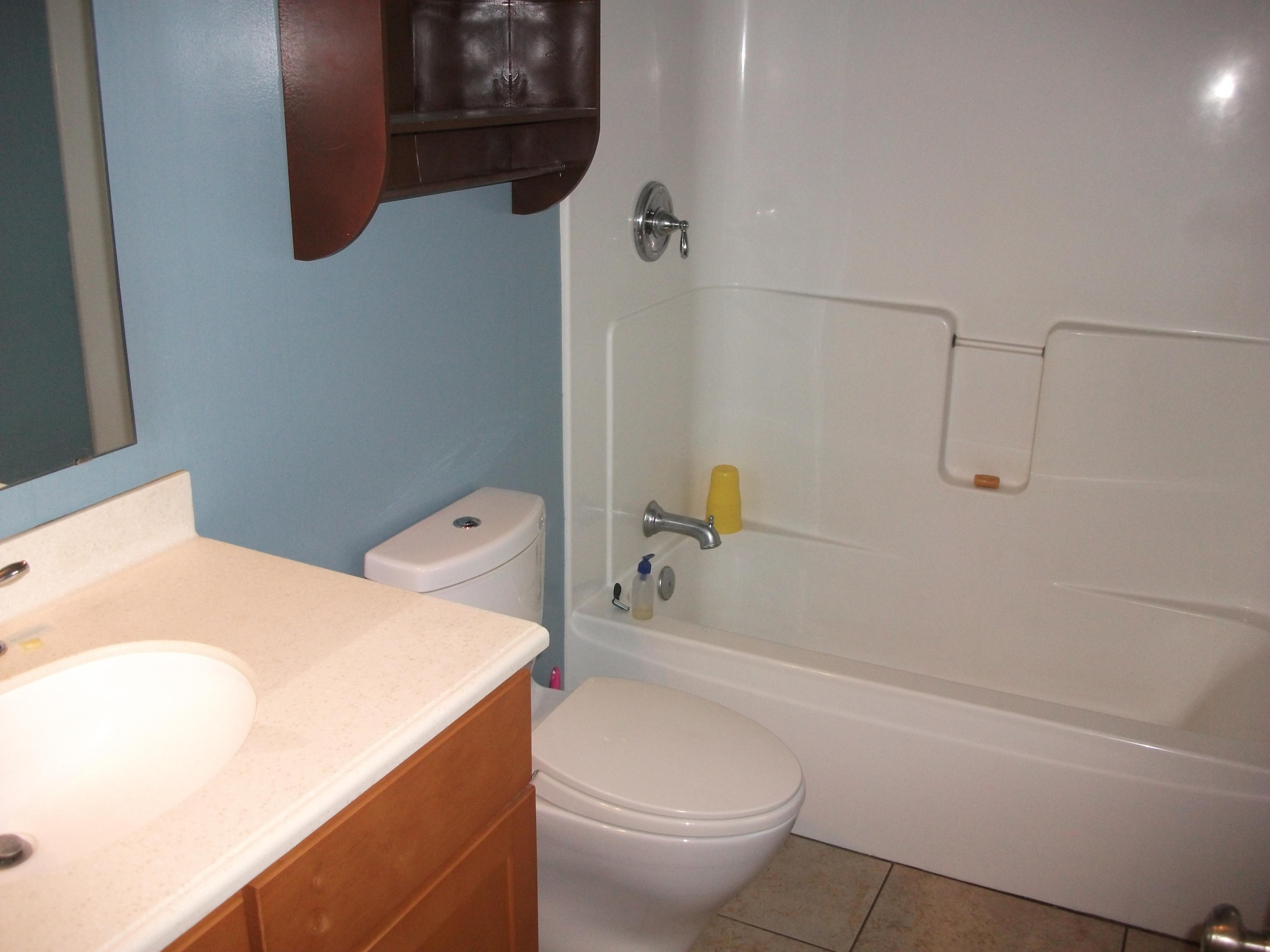 930 Calico Rock Road Rocky Mount, VA 24151 - Photo 14 of 34 a bathroom with a sink a toilet and shower