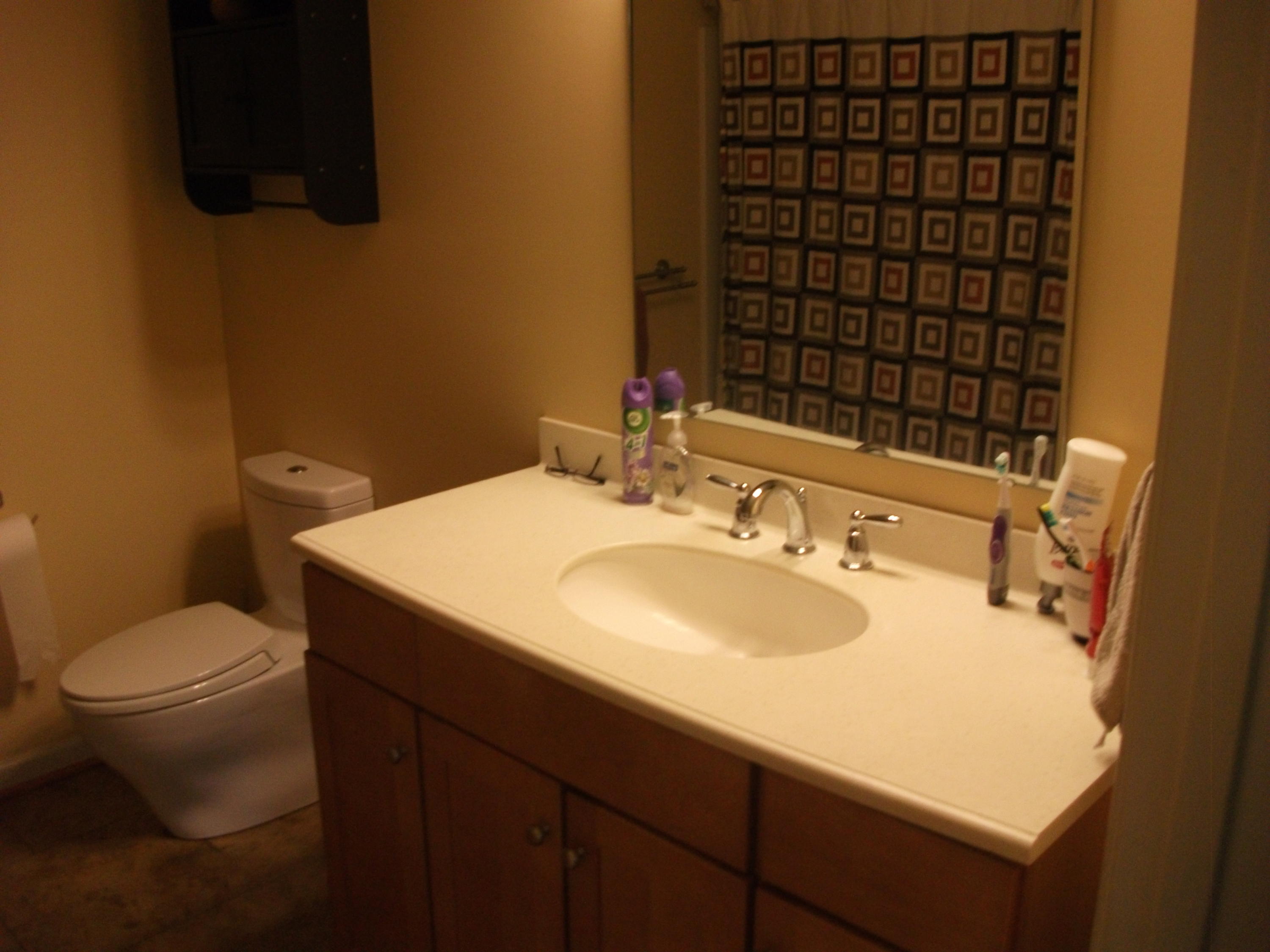 930 Calico Rock Road Rocky Mount, VA 24151 - Photo 16 of 34 a bathroom with a sink toilet and shower