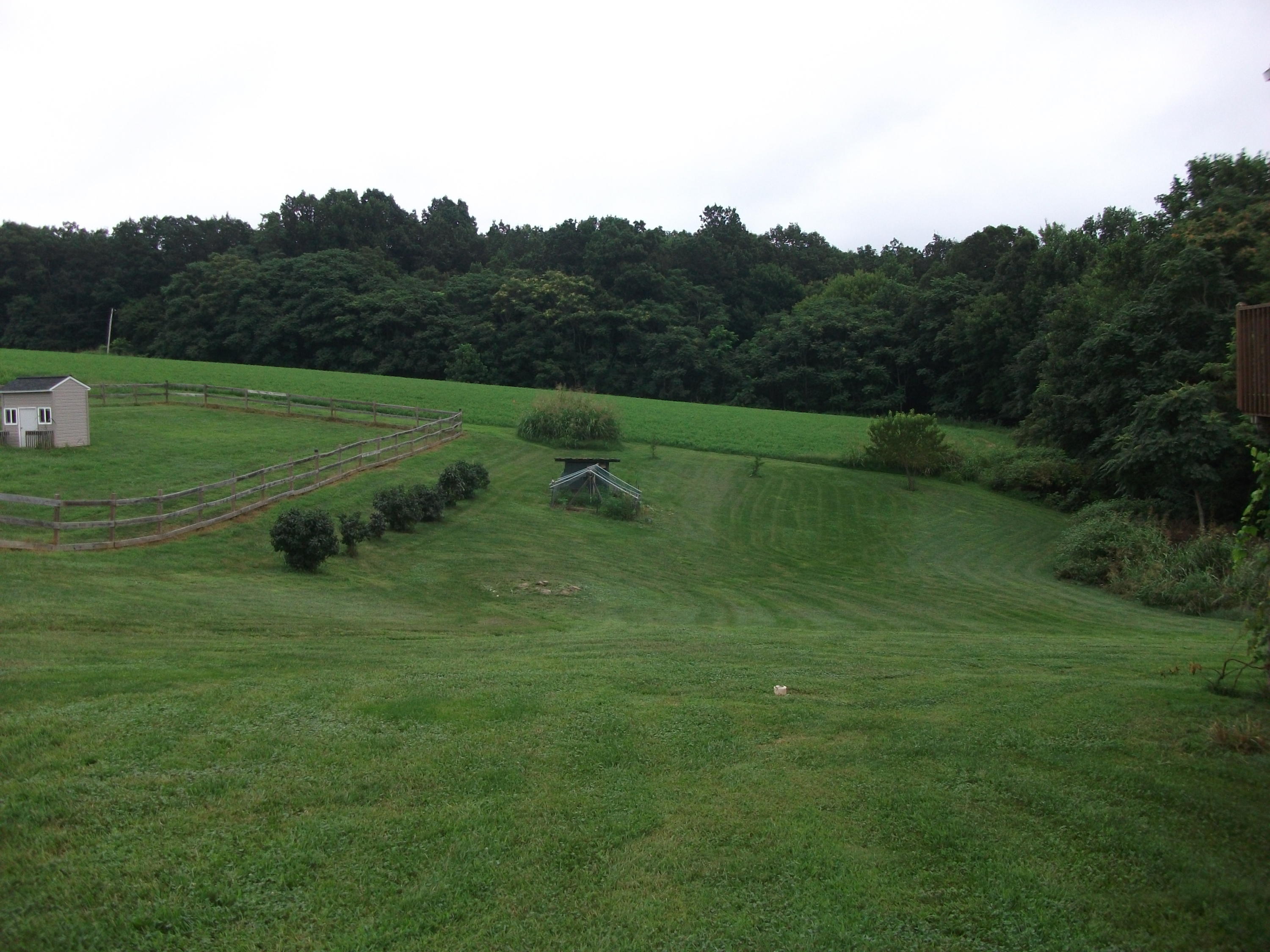930 Calico Rock Road Rocky Mount, VA 24151 - Photo 26 of 34 a view of a grassy field with trees