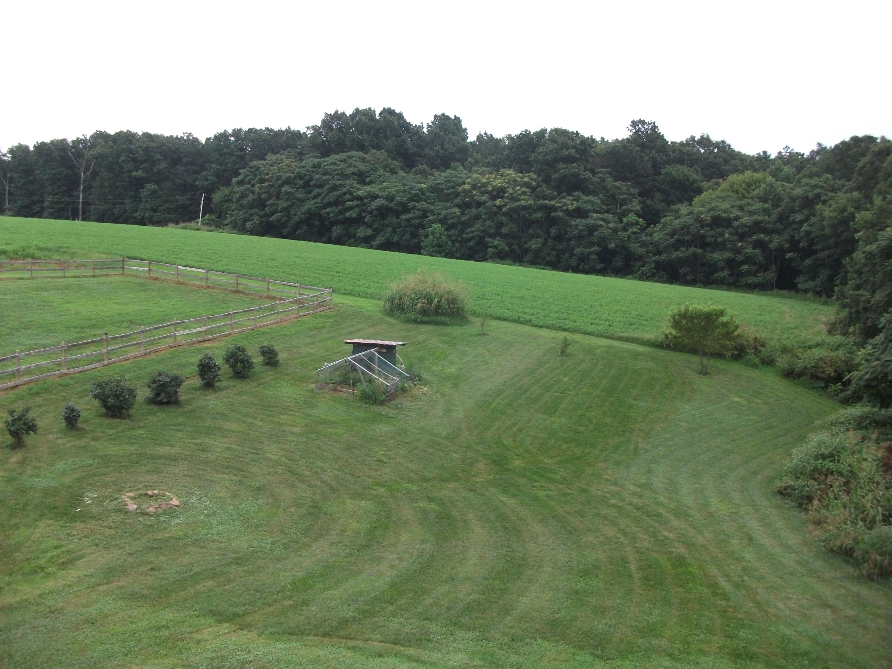 930 Calico Rock Road Rocky Mount, VA 24151 - Photo 27 of 34 a view of a grassy area with an trees
