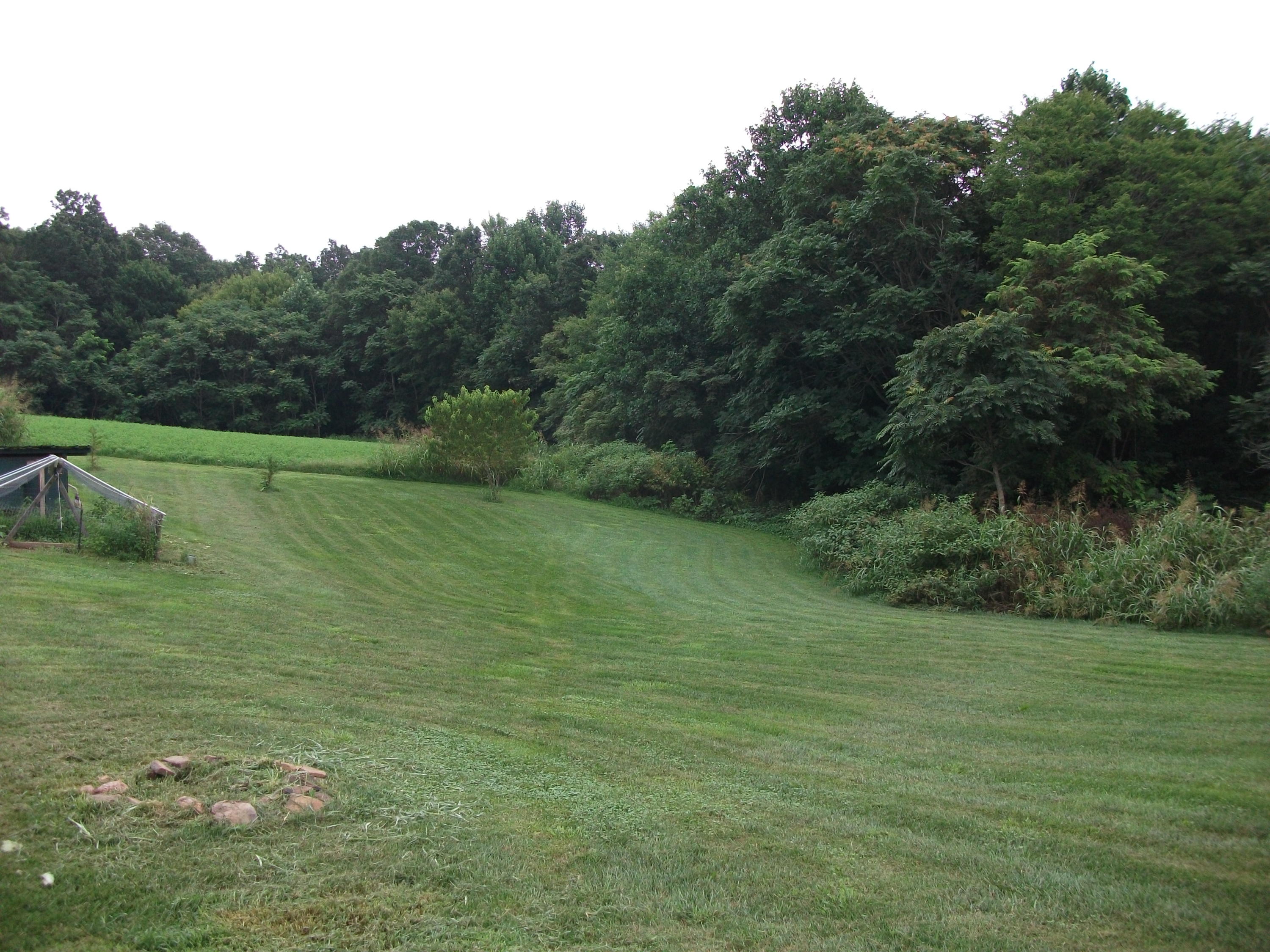 930 Calico Rock Road Rocky Mount, VA 24151 - Photo 28 of 34 a view of a field with a tree