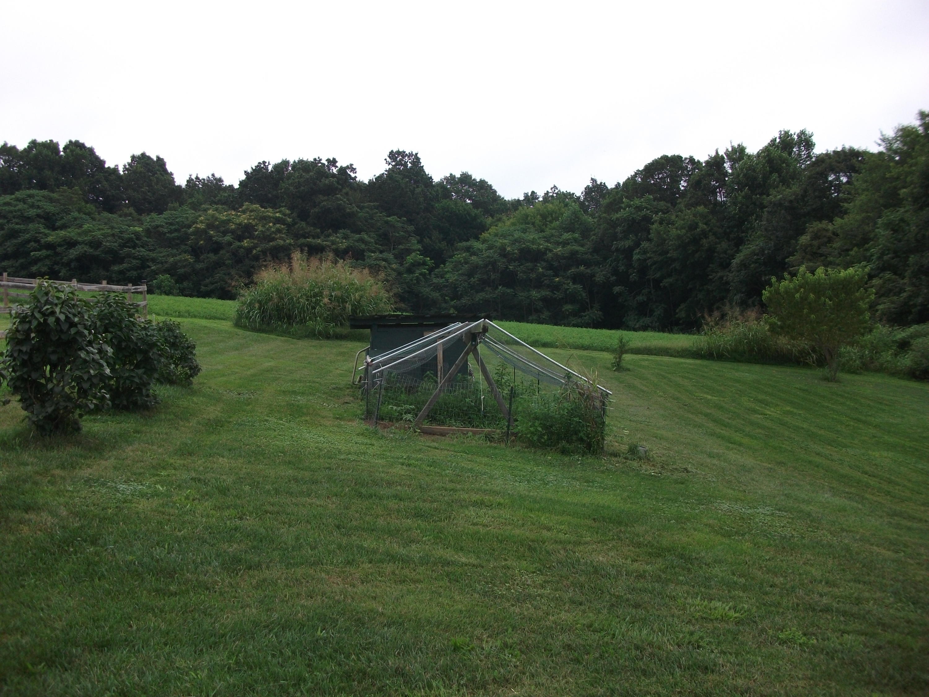 930 Calico Rock Road Rocky Mount, VA 24151 - Photo 29 of 34 a backyard of a house with lots of green space