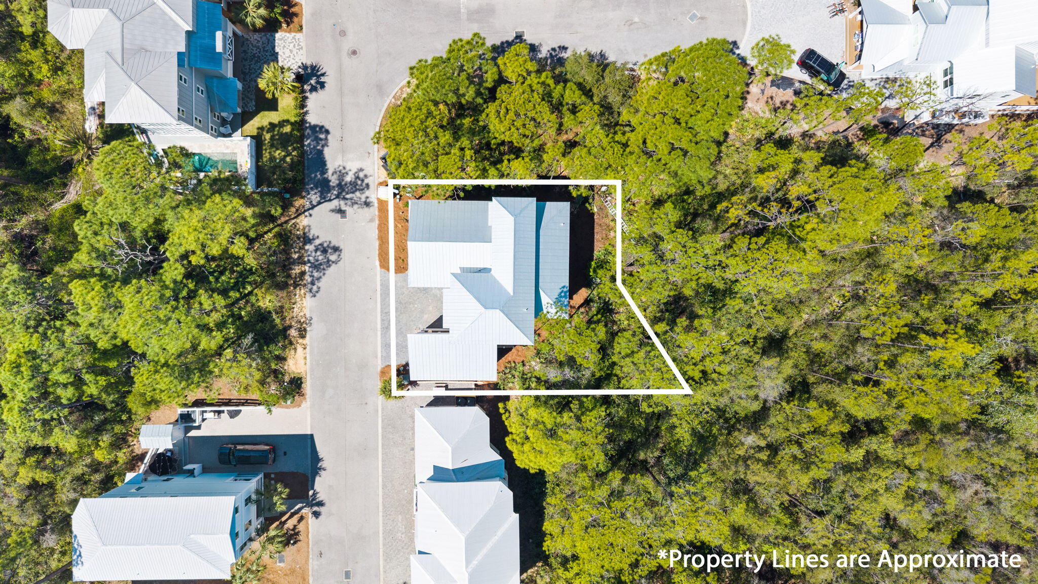 330 Redbud Ln Inlet Beach Inlet Beach, FL 32461 - Photo 5 of 16 an aerial view of a house with swimming pool and large trees