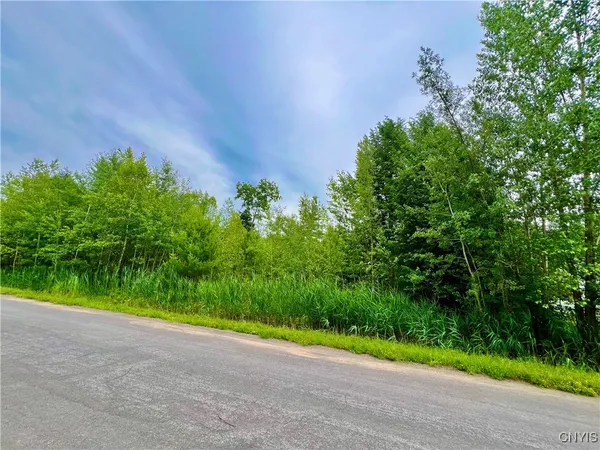 $60,400 | Lot 7 Forest Ridge Drive, Rome, NY 13440