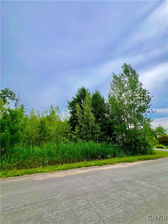 Lot 7 Forest Ridge Drive Rome, NY 13440 - Photo 2 of 7