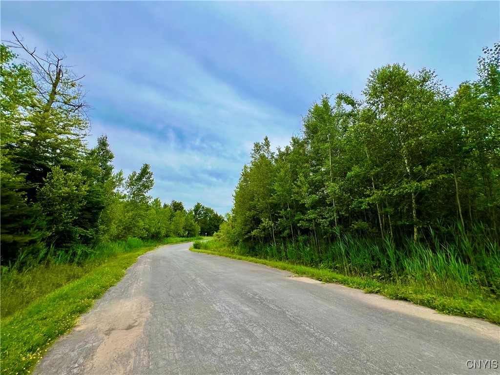 Lot 7 Forest Ridge Drive Rome, NY 13440 - Photo 4 of 7