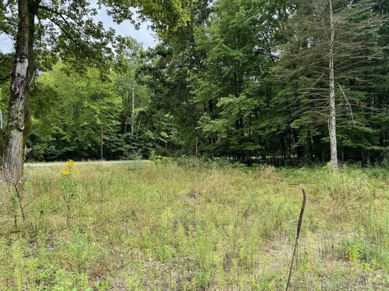 13350 Nichols Road Burt, MI 48417 - Photo 5 of 12
