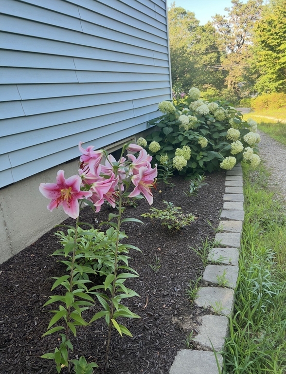 1661 State Road Plymouth, MA 02360 - Photo 21 of 24