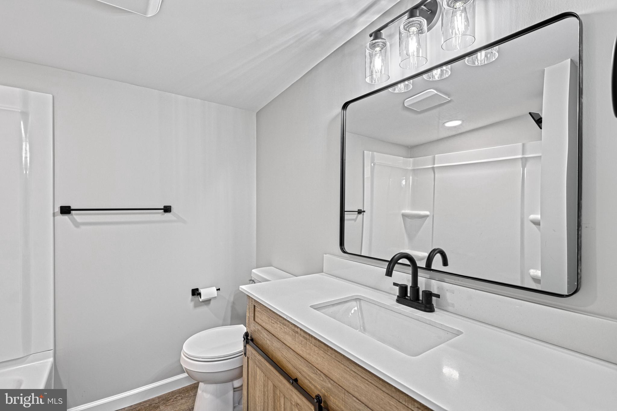 455 Petersburg Road Carlisle, PA 17015 - Photo 48 of 77 a bathroom with a sink a toilet and a mirror
