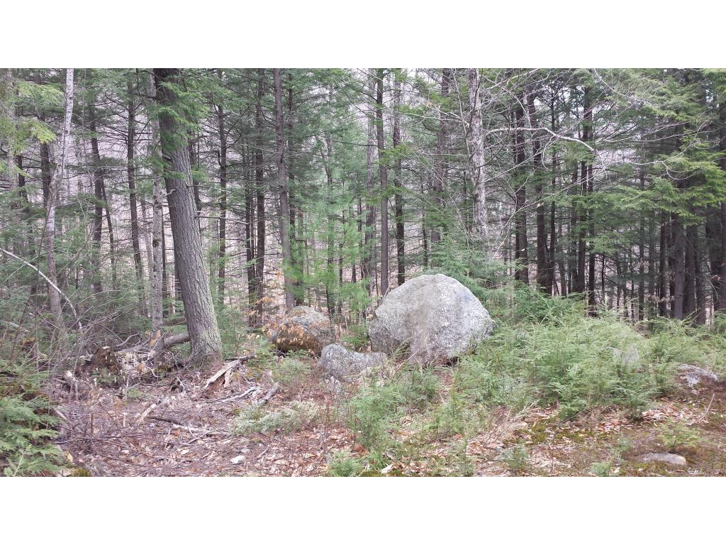 15 Maple Ridge Road Meredith, NH 03253 - Photo 8 of 17