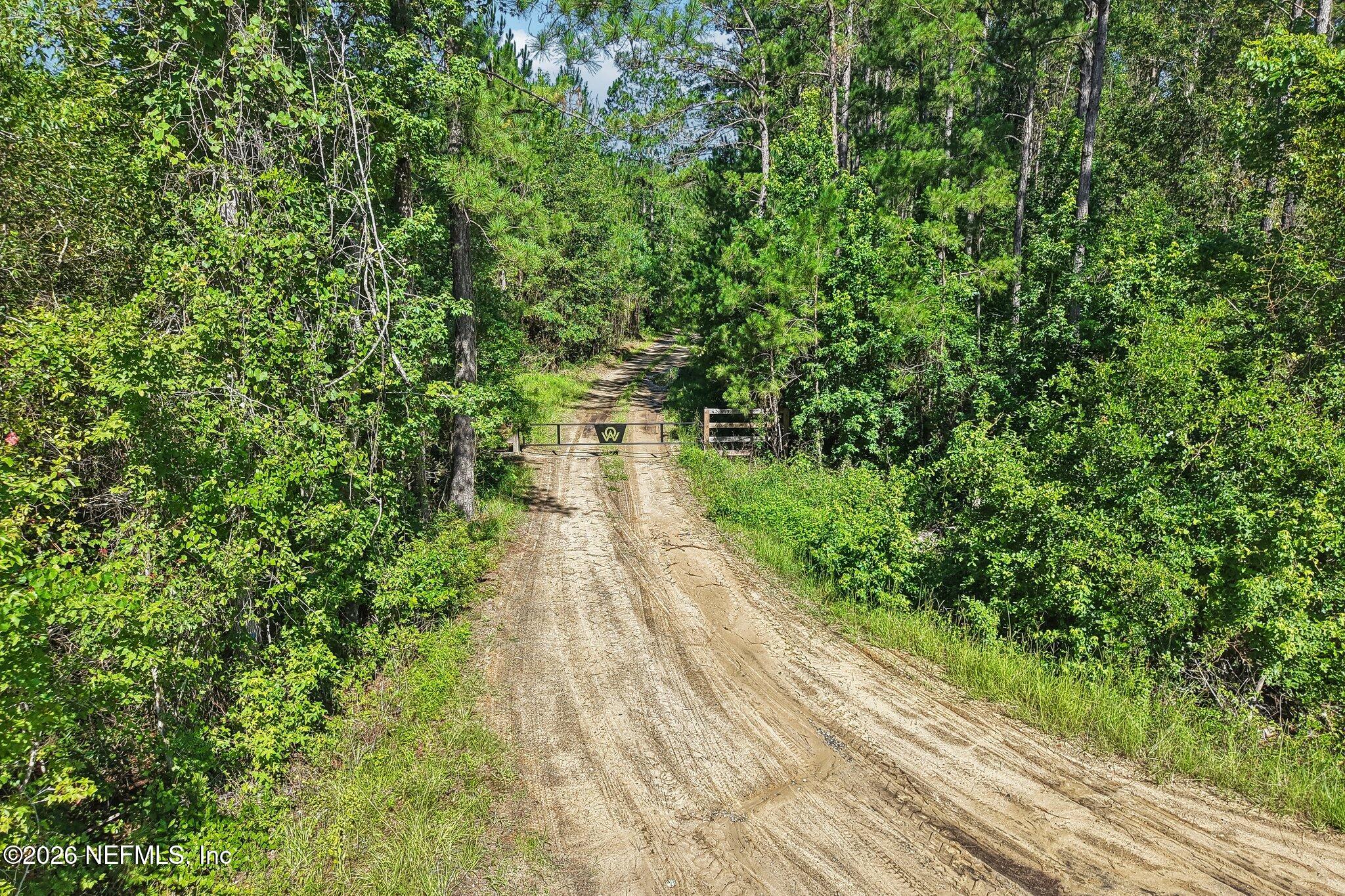 0 Coopers Neck Road Hilliard, FL 32046 - Photo 3 of 15 1-web-or-mls-Coopers Neck Rd-S2506-001