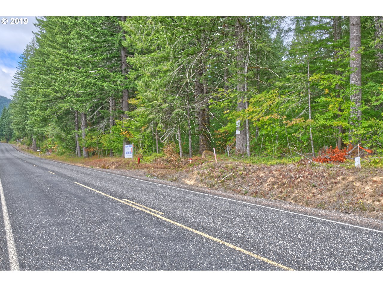 0 Hemlock Road Carson, WA 98610 - Photo 7 of 8 Gallery Image 7