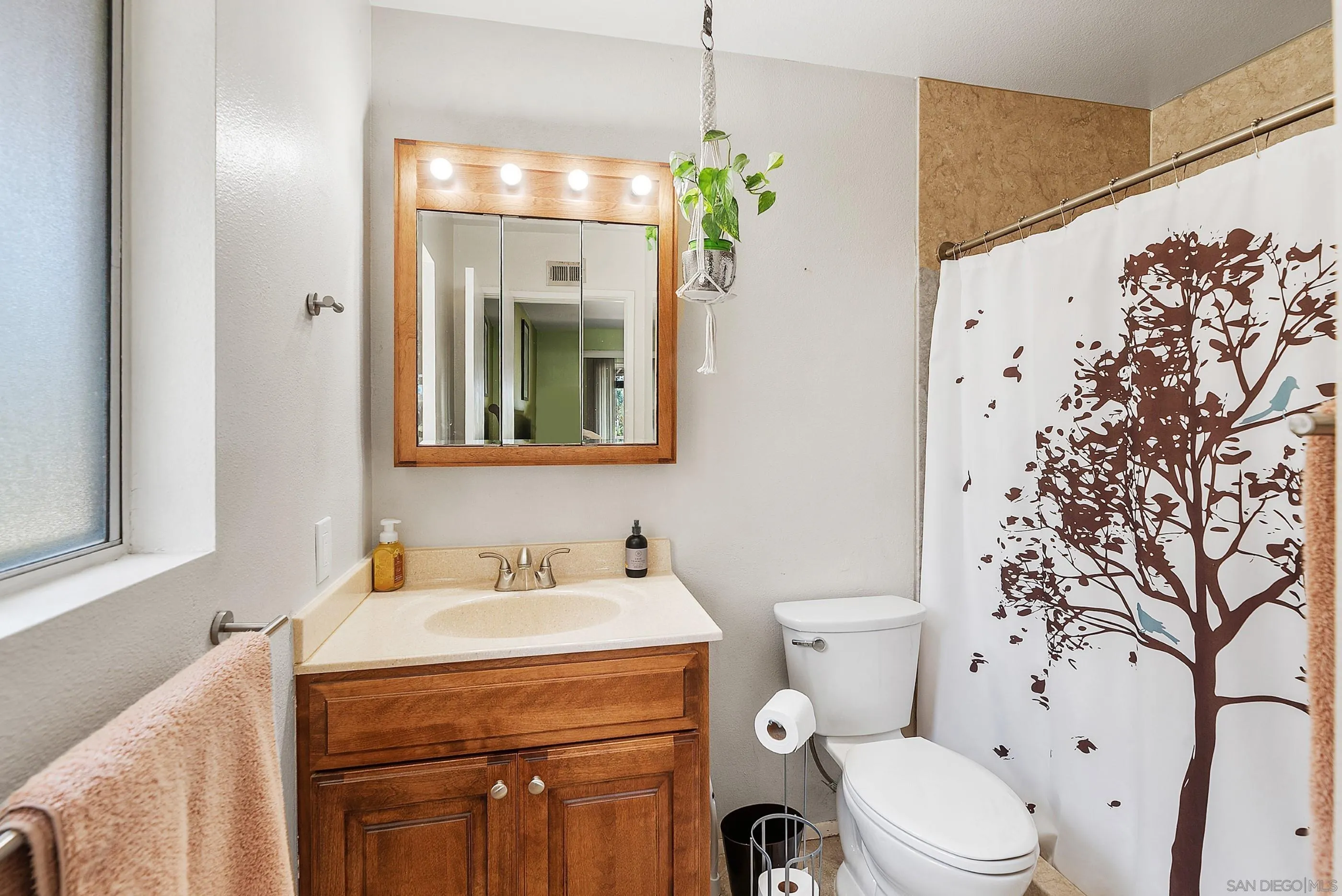 2268 Village Road Escondido, CA 92026 - Photo 22 of 43 a bathroom with a sink toilet and shower