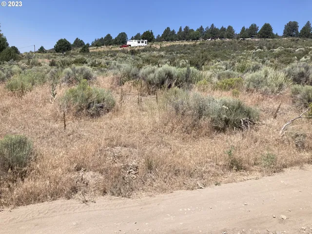 a view of a dry yard