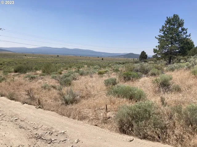 a view of an ocean beach