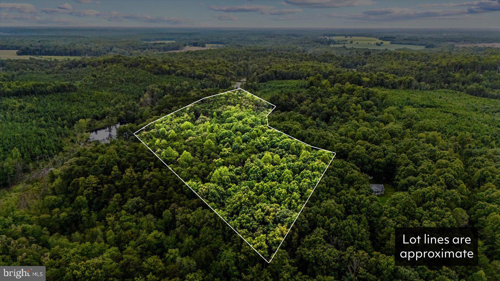 Pond Road Ruther Glen, VA 22546 - Photo 1 of 12 Gallery Image 1