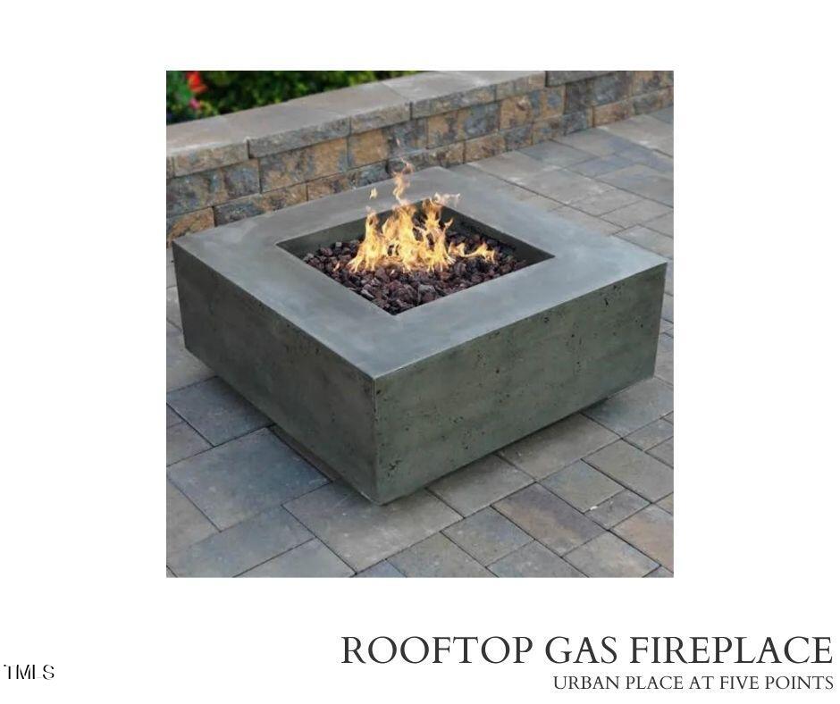 1527 Havenmont Court Raleigh, NC 27608 - Photo 37 of 41 ROOFTOP GAS FIREPLACE