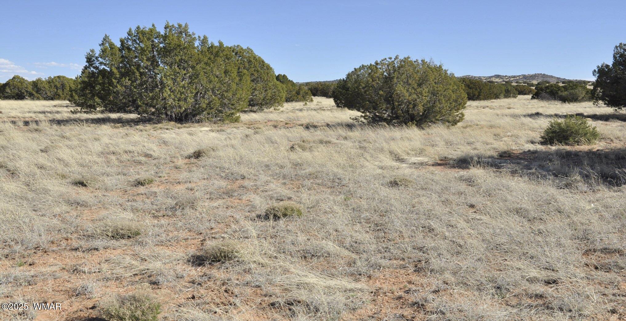 12 County Road Concho, AZ 85924 - Photo 69 of 85 Gentle Lush Grasslands are Protected from Over Camping by Spacious Half-Acre Campsites