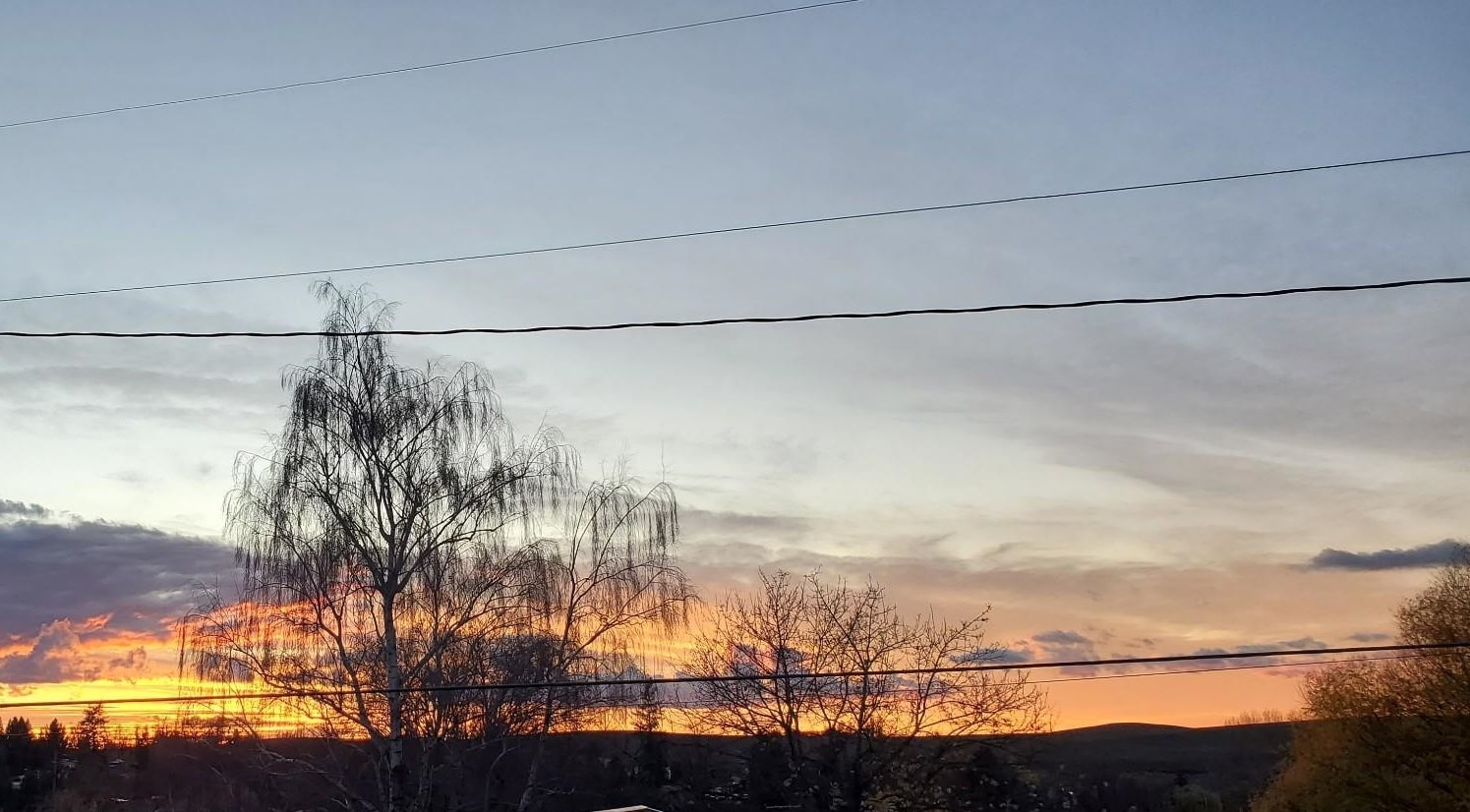 105 Howard Street Tekoa, WA 99033 - Photo 37 of 37