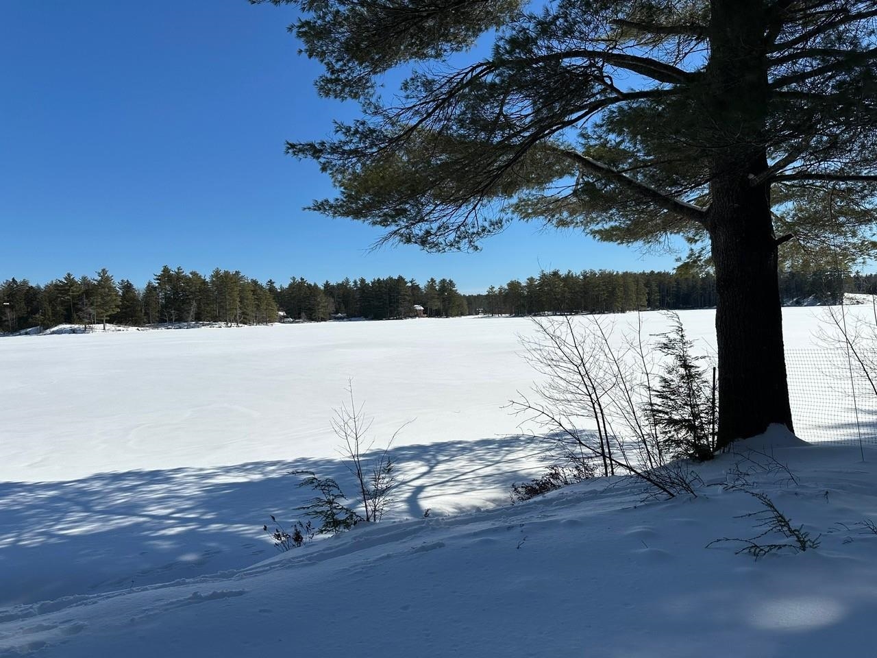 39 Pine Road Fitzwilliam, NH 03447 - Photo 11 of 60