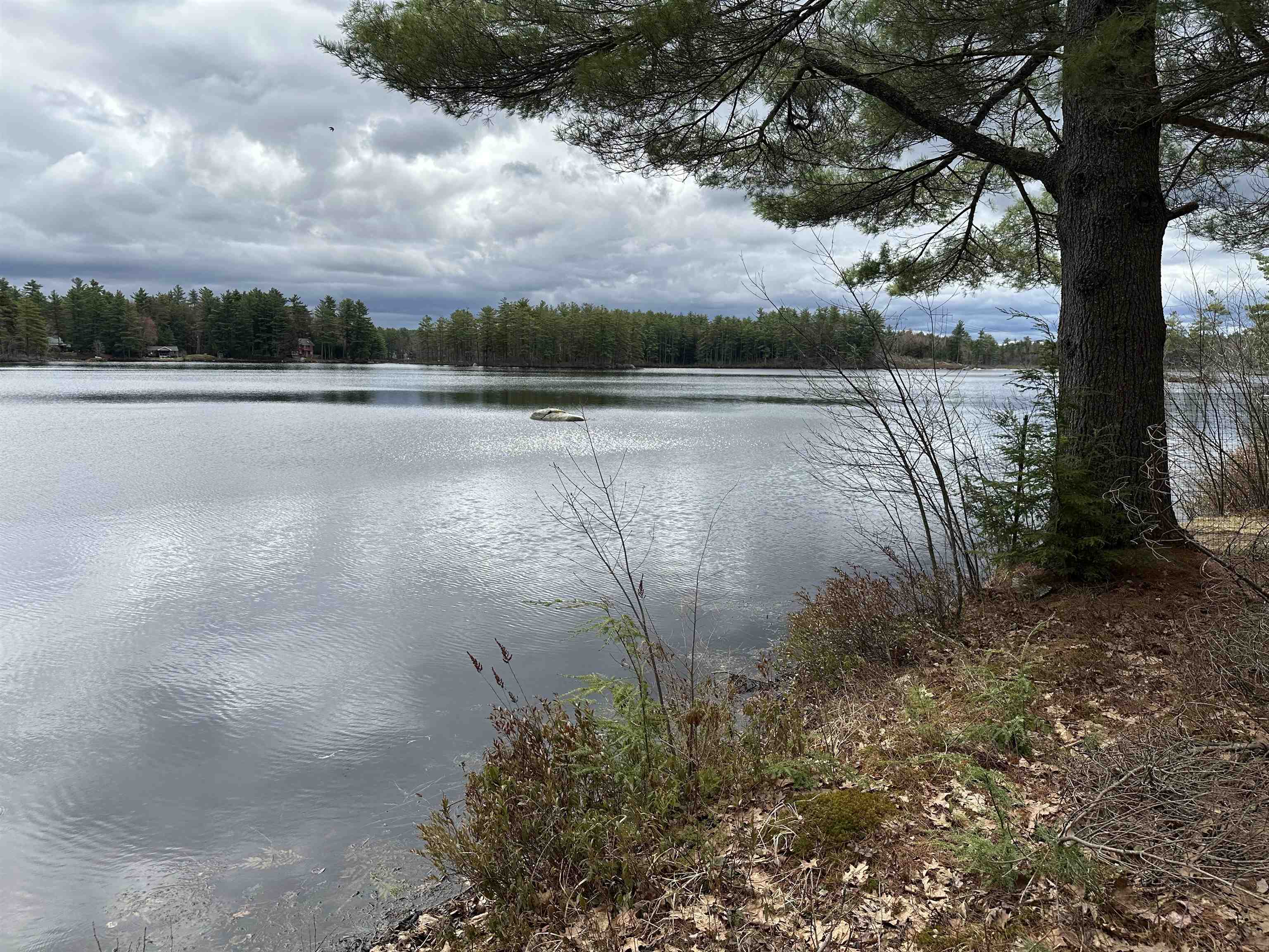 39 Pine Road Fitzwilliam, NH 03447 - Photo 16 of 68