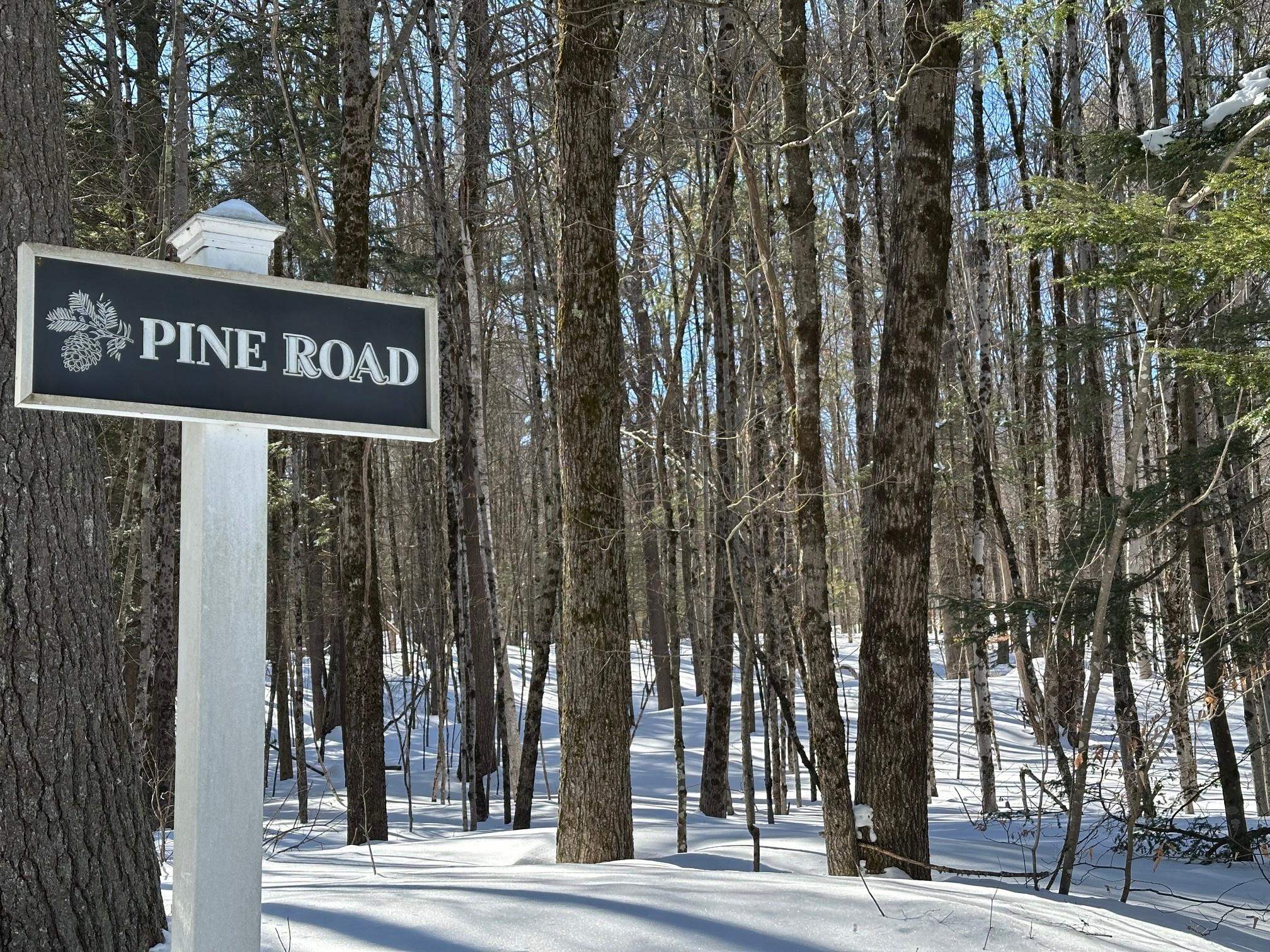 39 Pine Road Fitzwilliam, NH 03447 - Photo 2 of 60