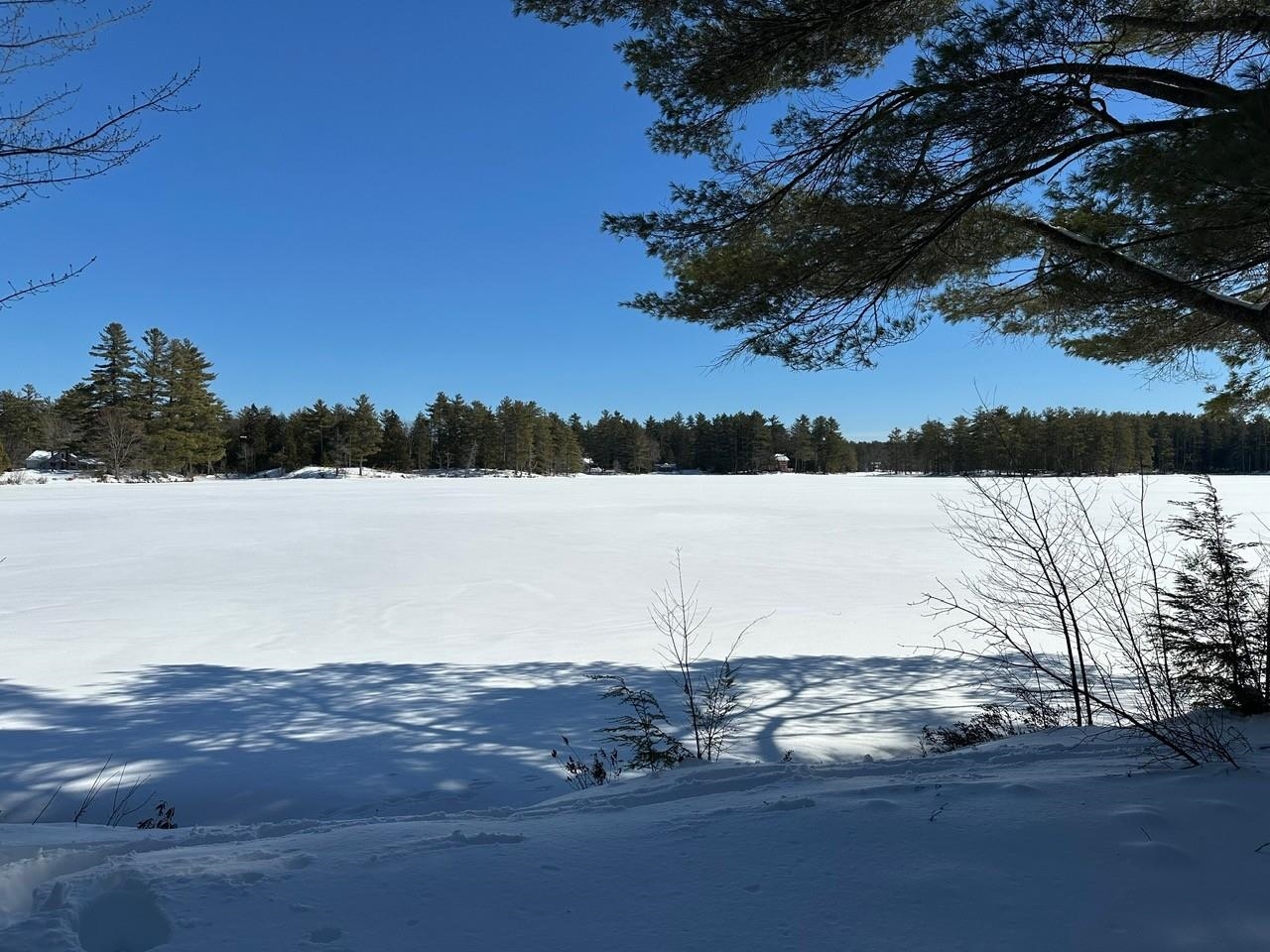 39 Pine Road Fitzwilliam, NH 03447 - Photo 24 of 60