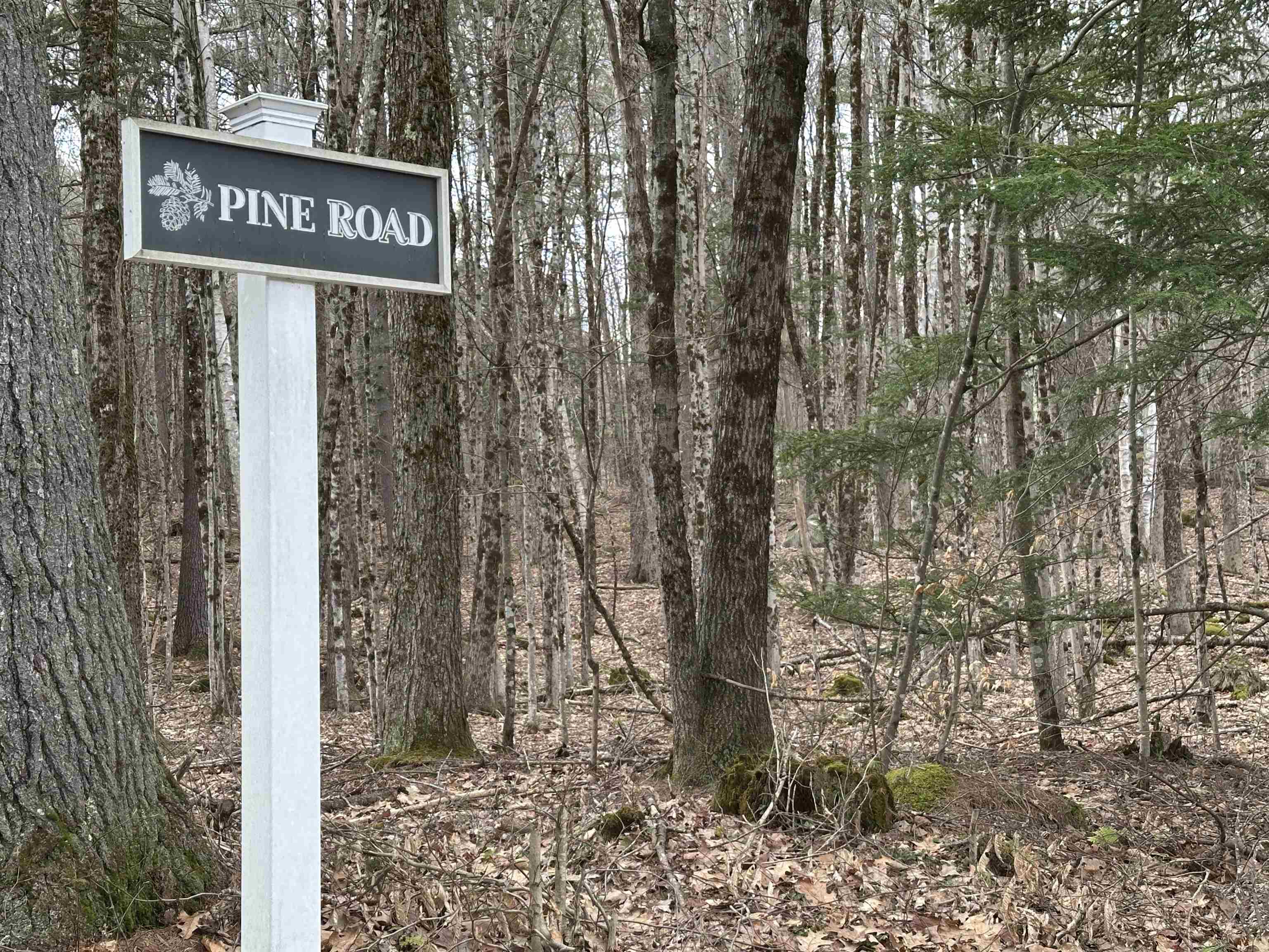 39 Pine Road Fitzwilliam, NH 03447 - Photo 3 of 68