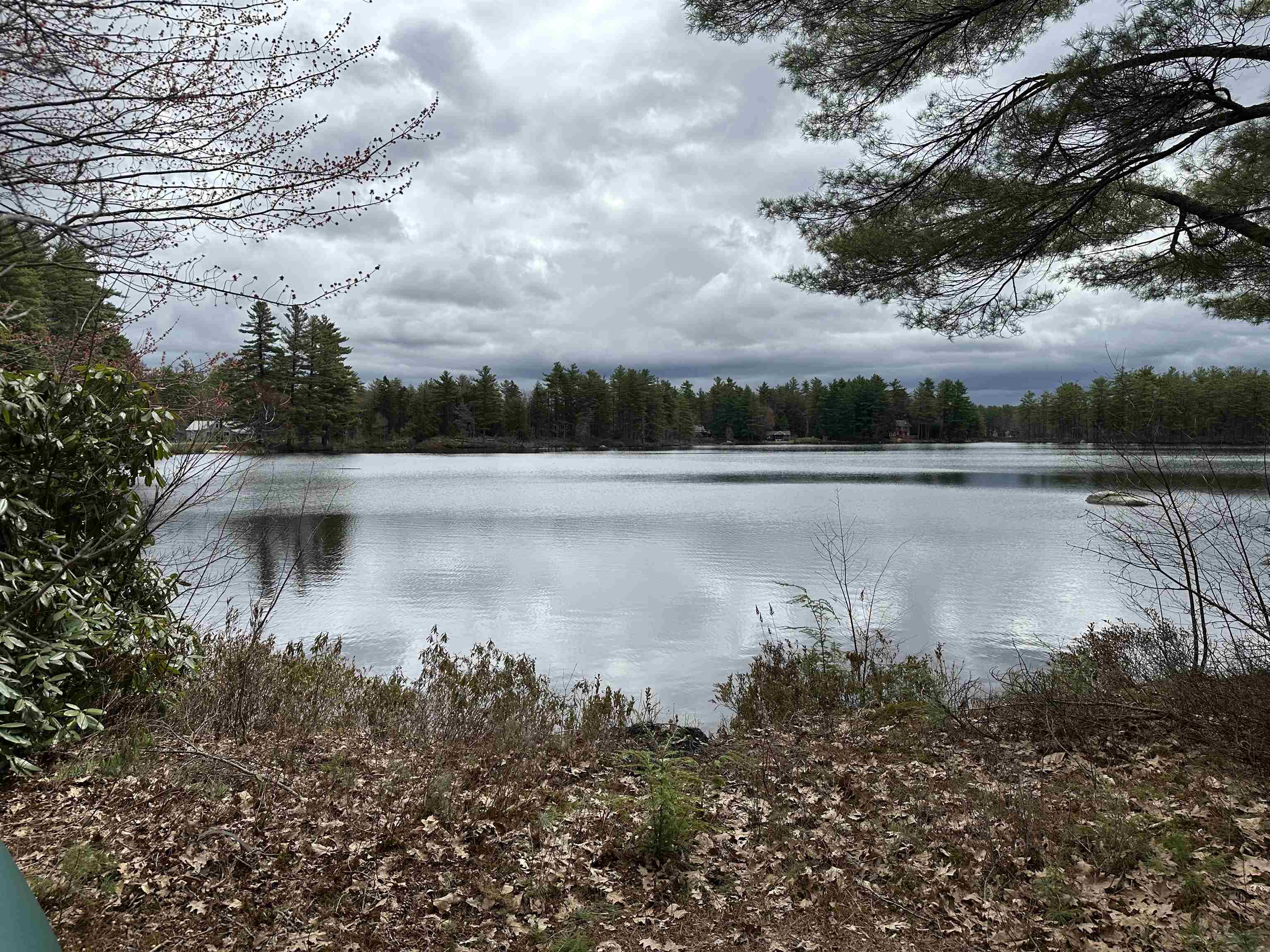 39 Pine Road Fitzwilliam, NH 03447 - Photo 31 of 68