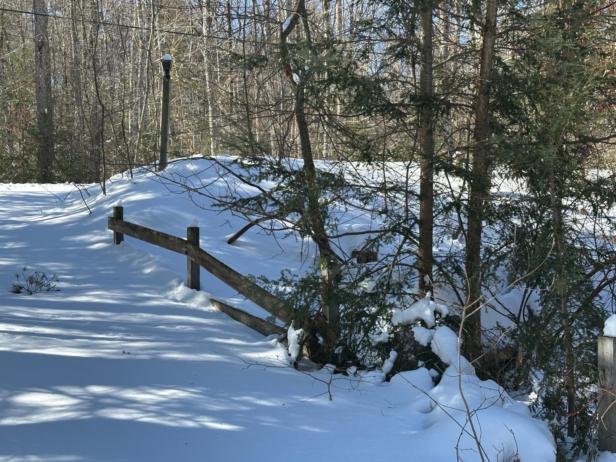 39 Pine Road Fitzwilliam, NH 03447 - Photo 31 of 60