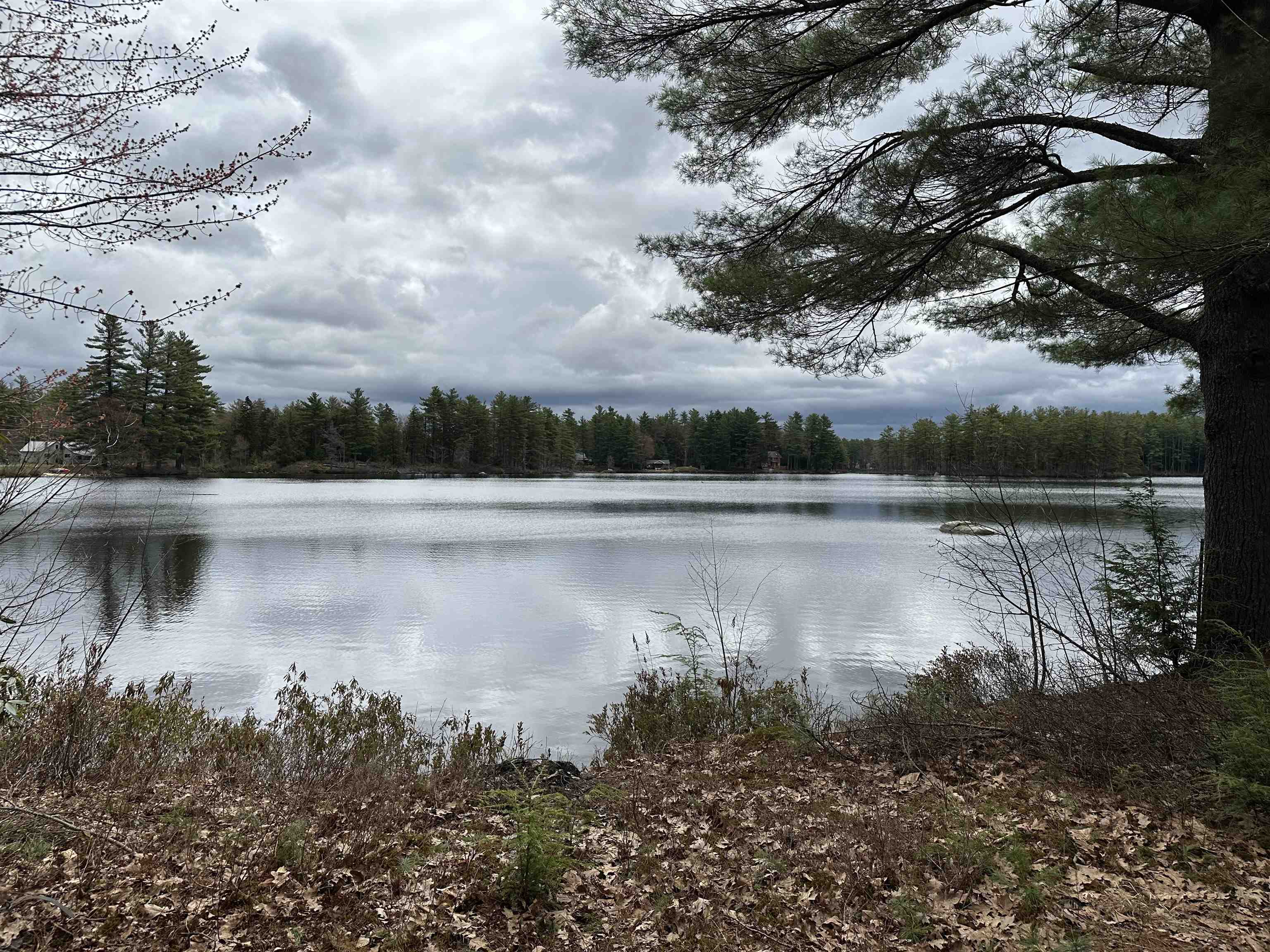 39 Pine Road Fitzwilliam, NH 03447 - Photo 33 of 68