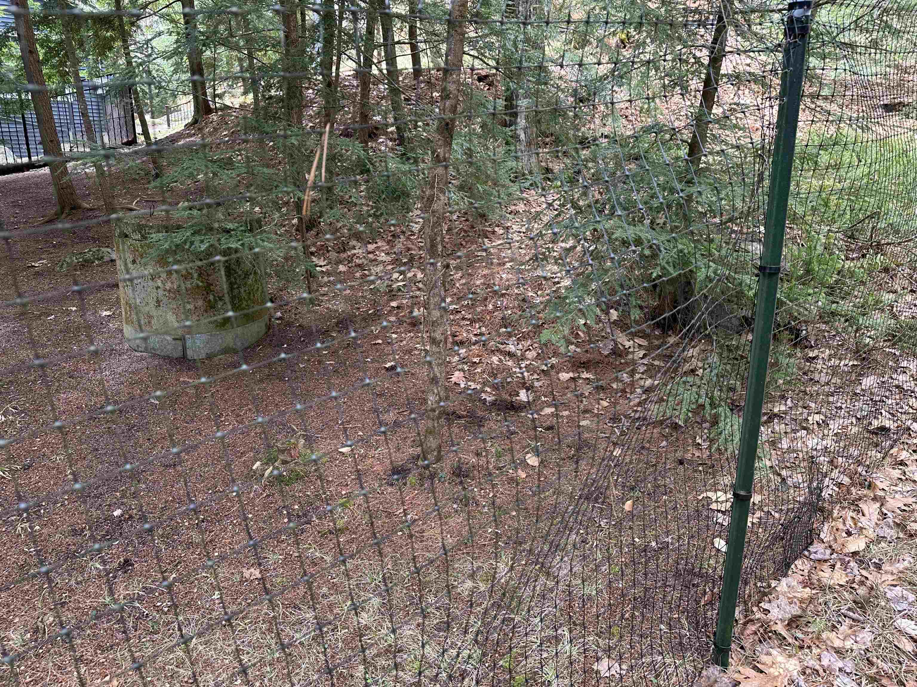 39 Pine Road Fitzwilliam, NH 03447 - Photo 37 of 68