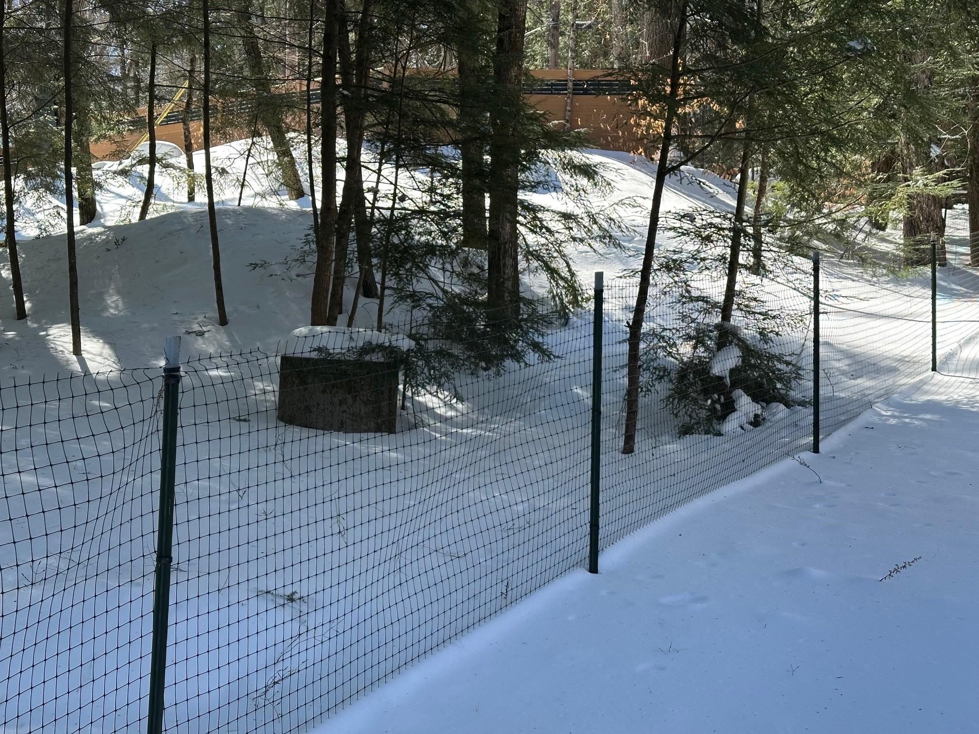 39 Pine Road Fitzwilliam, NH 03447 - Photo 41 of 68