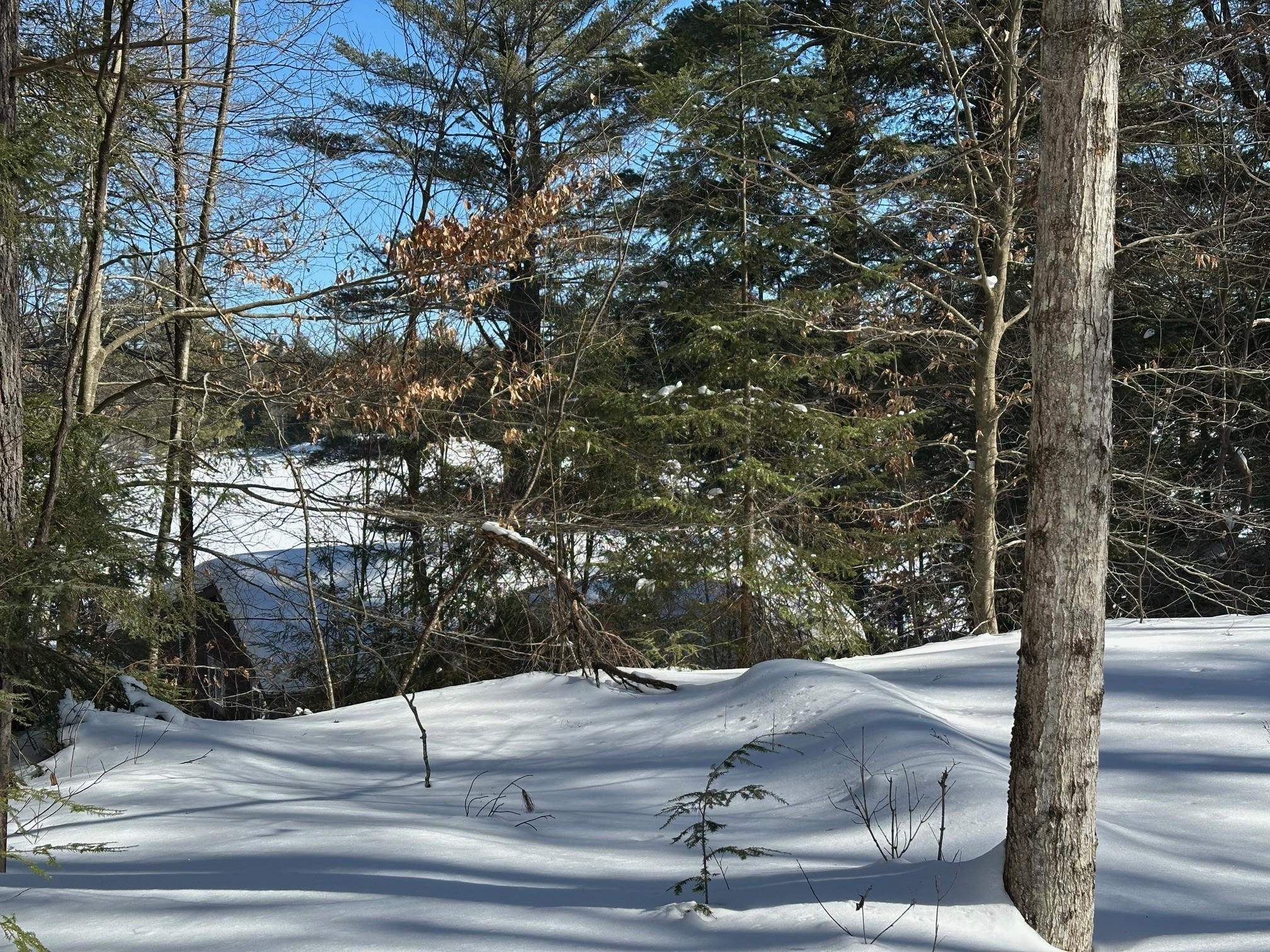 39 Pine Road Fitzwilliam, NH 03447 - Photo 44 of 68