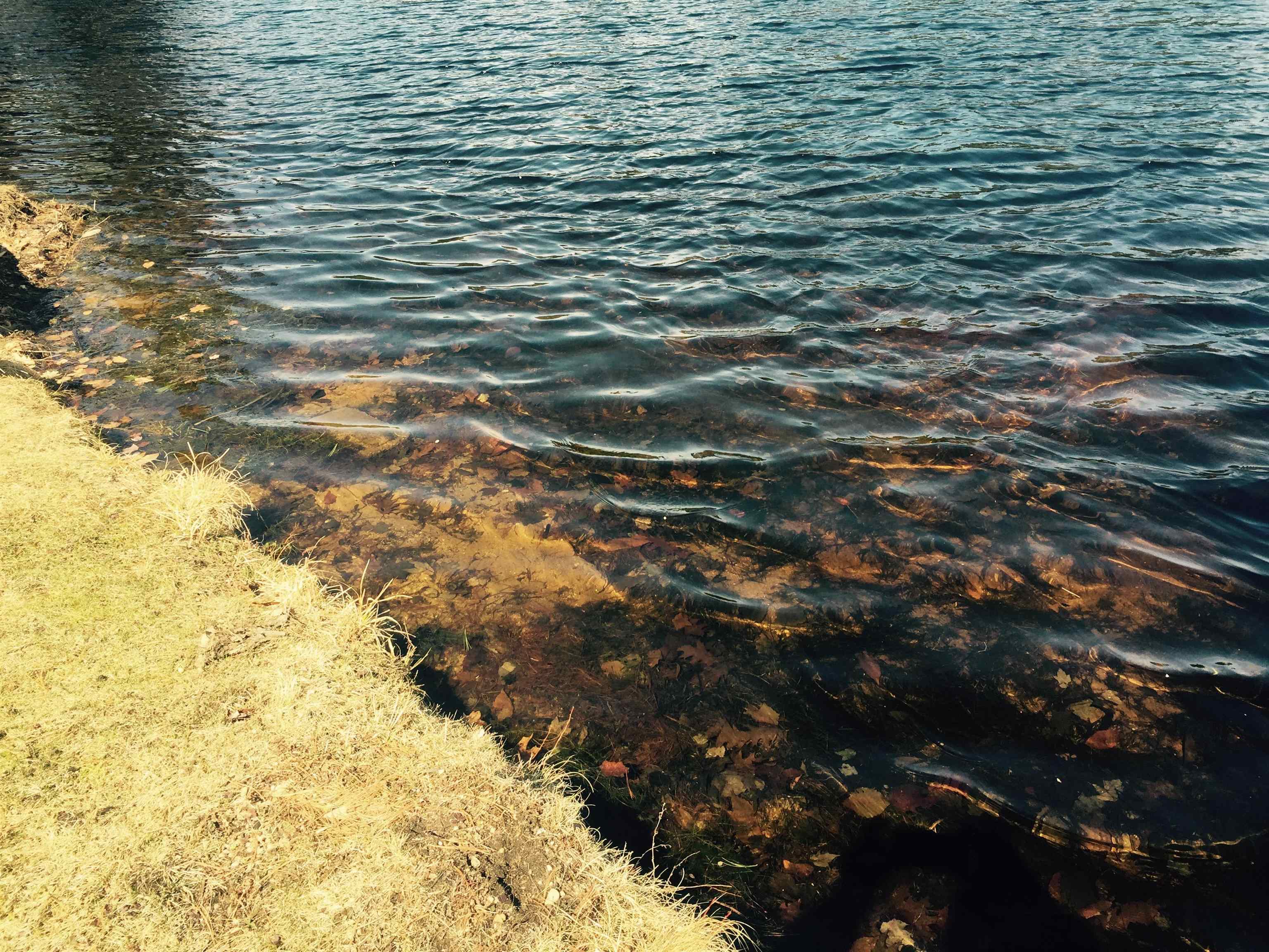 39 Pine Road Fitzwilliam, NH 03447 - Photo 59 of 60