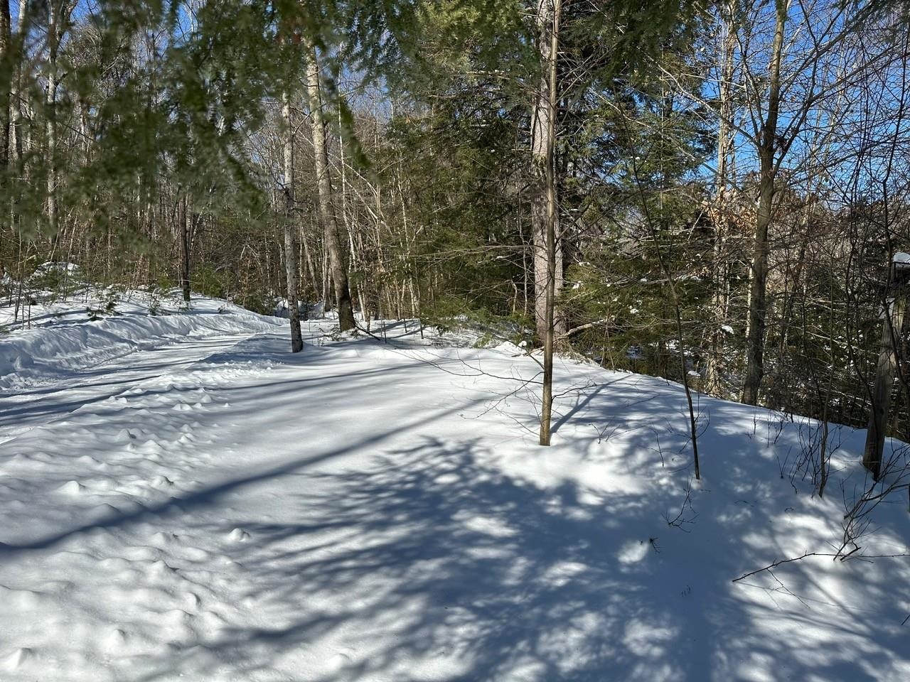 39 Pine Road Fitzwilliam, NH 03447 - Photo 8 of 60