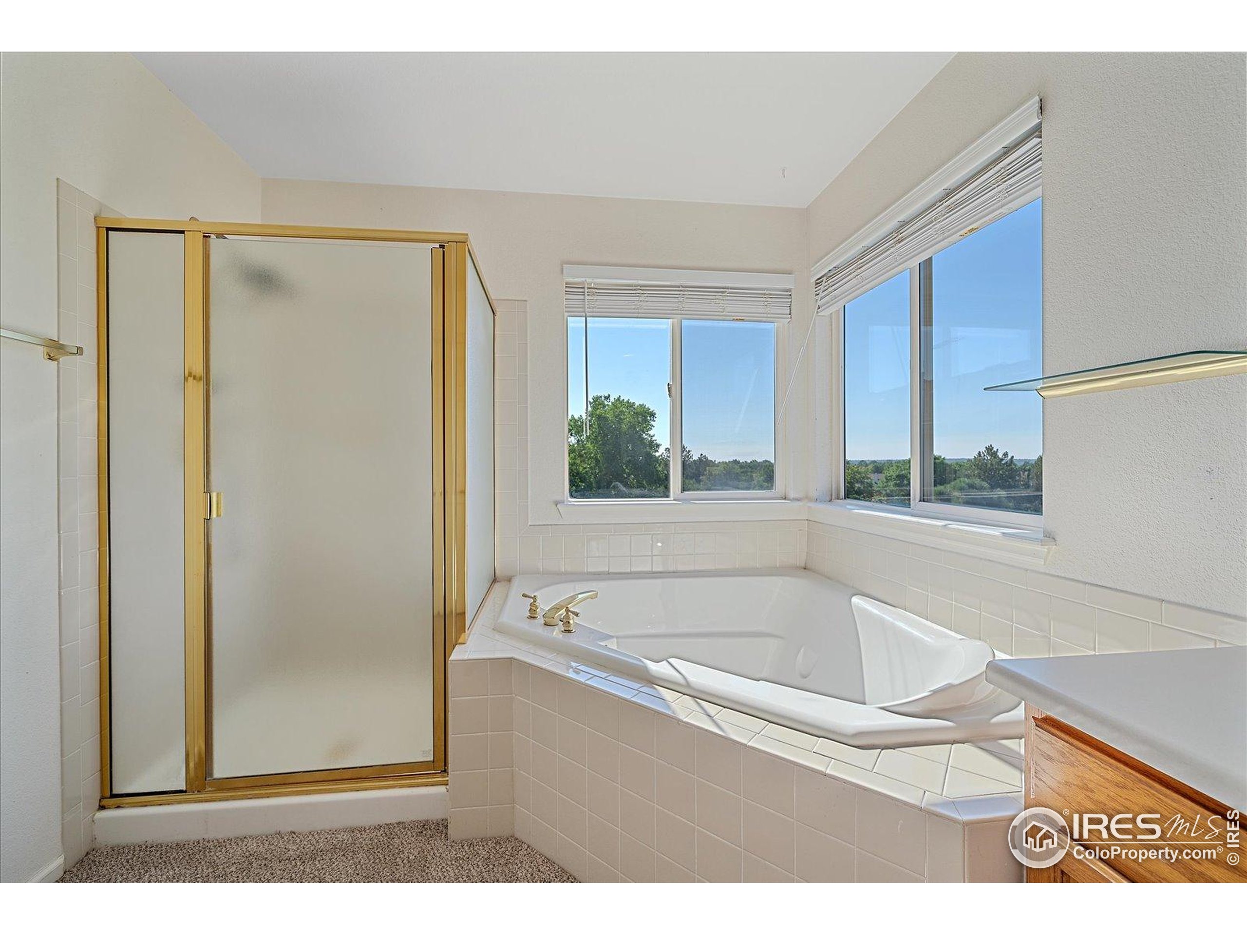 1320 West 12th Avenue Broomfield, CO 80020 - Photo 25 of 50 a bathroom with a bathtub and a shower