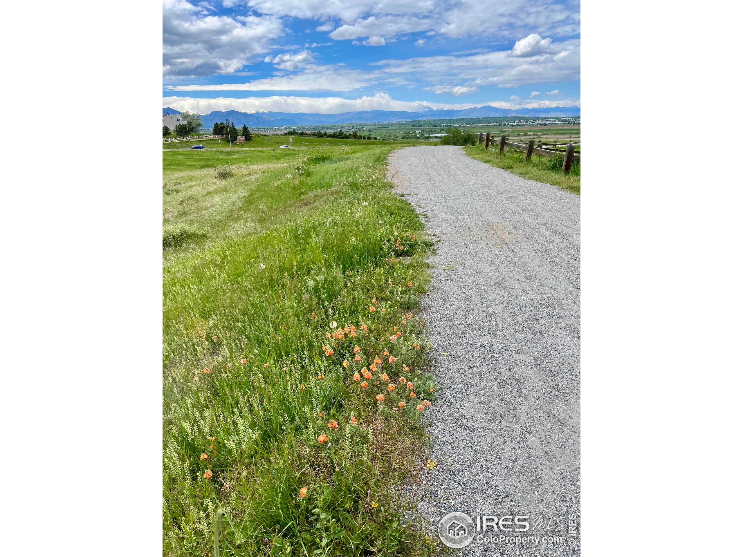 1320 West 12th Avenue Broomfield, CO 80020 - Photo 47 of 50 a view of a garden from a bench