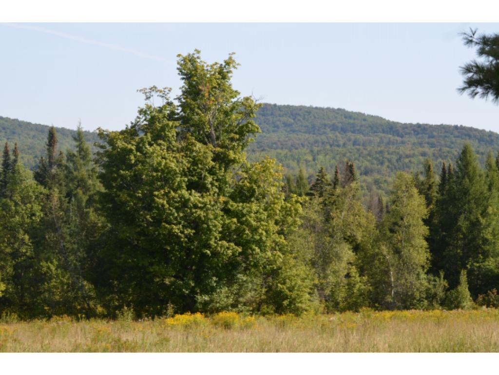 74 Bear Swamp Road Wolcott, VT 05680 - Photo 2 of 36 Gallery Image 2
