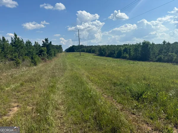 $61,713 | 9 George Milling Road, Cuthbert, GA 39840