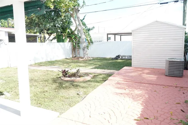 a view of a backyard with plants and large tree