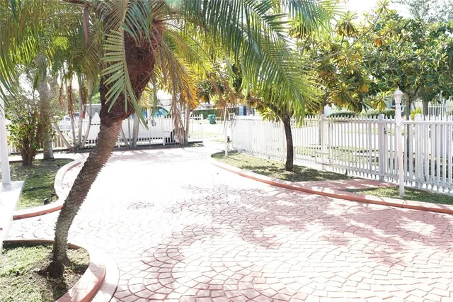 a view of a park with palm trees