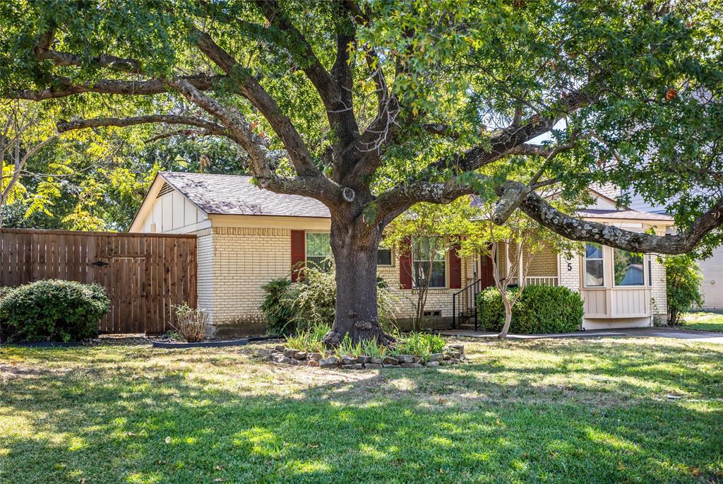 435 Hanbee Street Richardson, TX 75080 - Photo 2 of 36 Nice front yard with mature shade tree gracing the curb appeal.