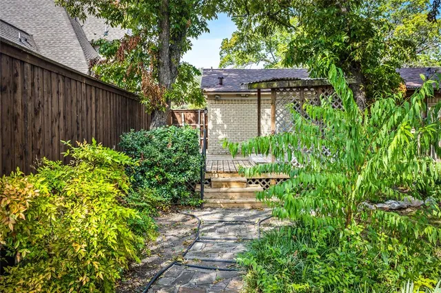 a view of a garden with plants