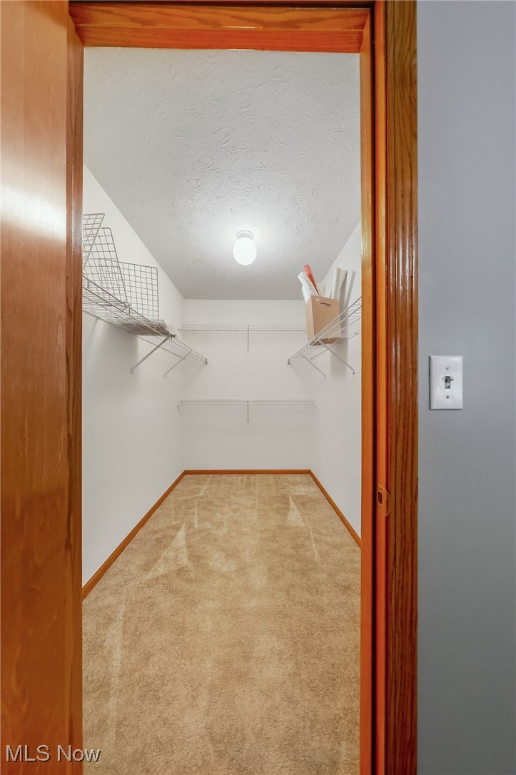 425 Overlook Drive Rittman, OH 44270 - Photo 11 of 44 Spacious closet with light carpet