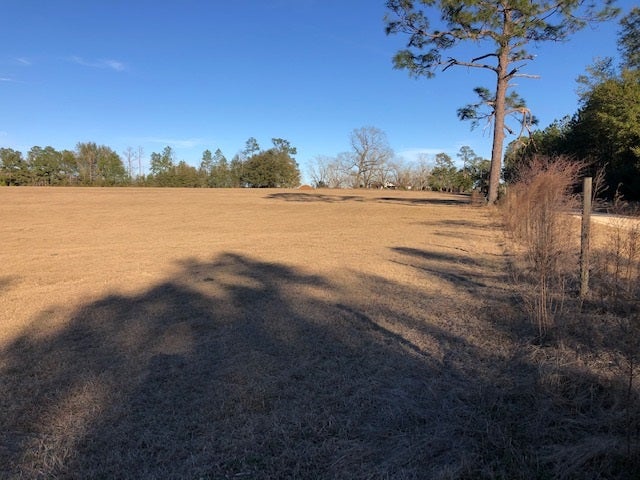 15-ac Cravey Bridge Road Florala, AL 36442 - Photo 9 of 16 Gallery Image 9